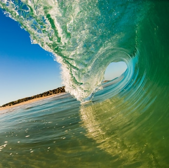 greenwave